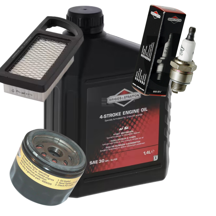 Servicesats Briggs & Stratton 4213