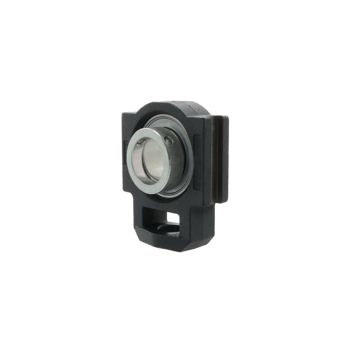 PTUE25 -TV-FA125.5 INA Lagerenhet